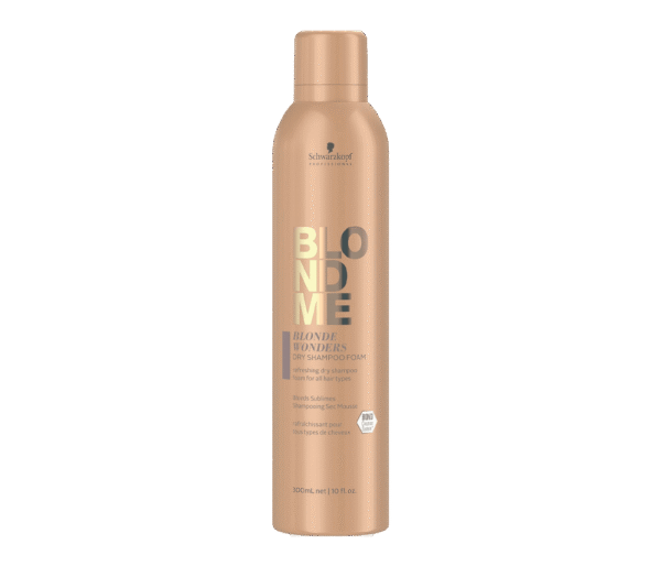 Dry Shampoo Foam
